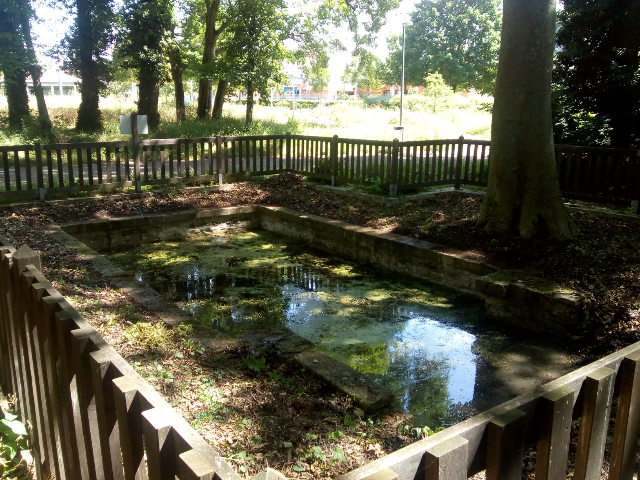 Source du Bois du Ru de Pouilly, pendant les travaux de restauration - 27.06.2021 - Arborescence