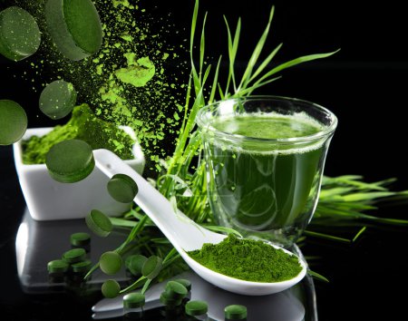 Spiruline Stocklib