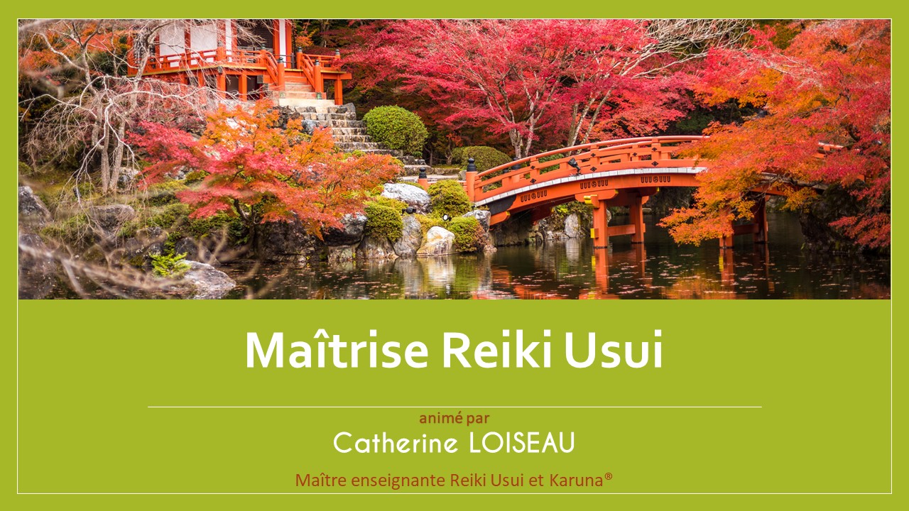 Stage Maîtrise Usui