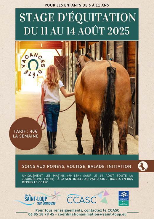 Stage cheval St Loup