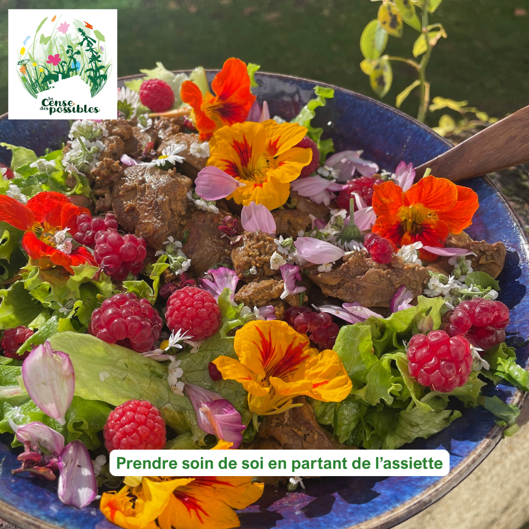 Stage Santé Gourmande