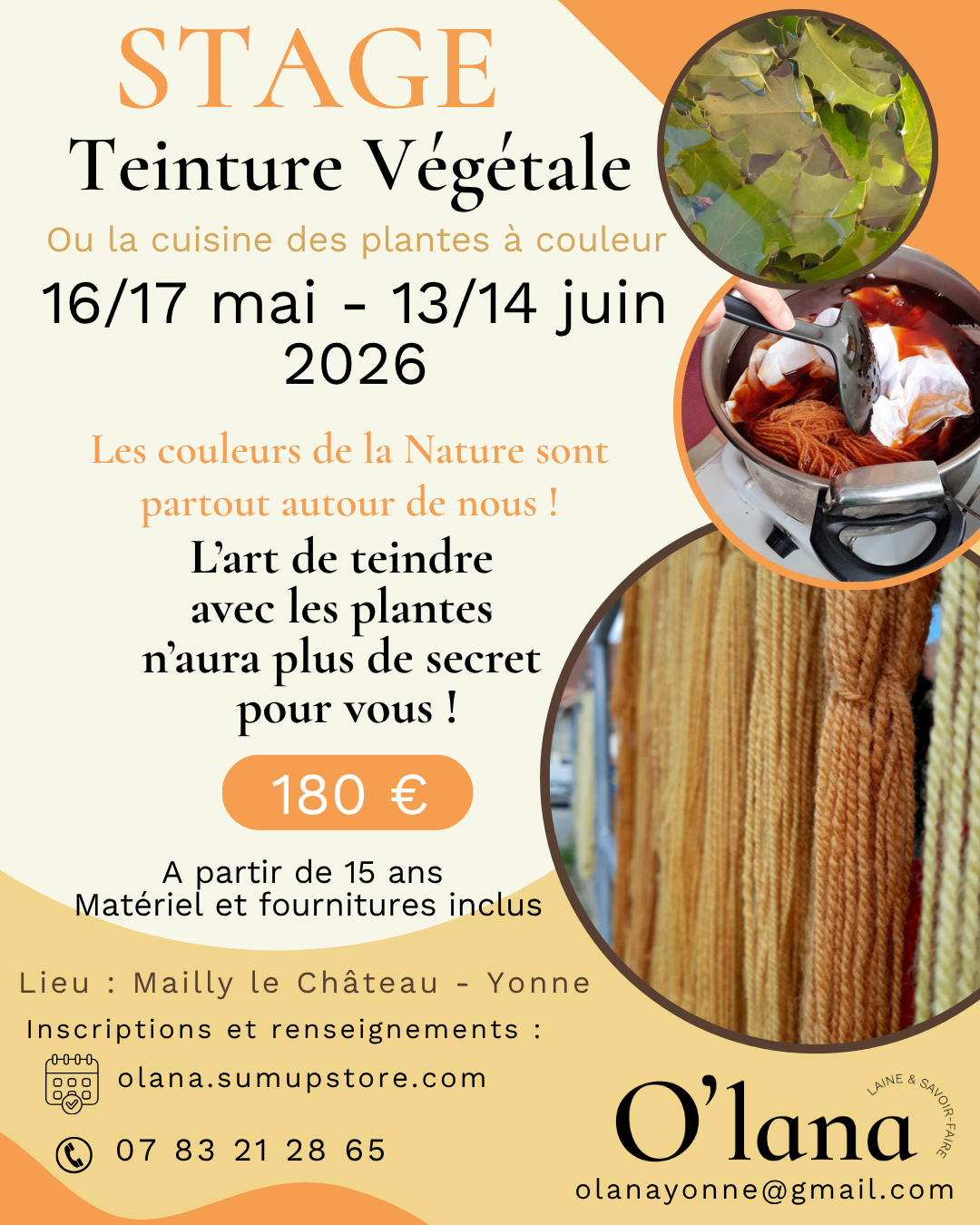 Teinture Végétale ou la cuisine des plantes à couleur