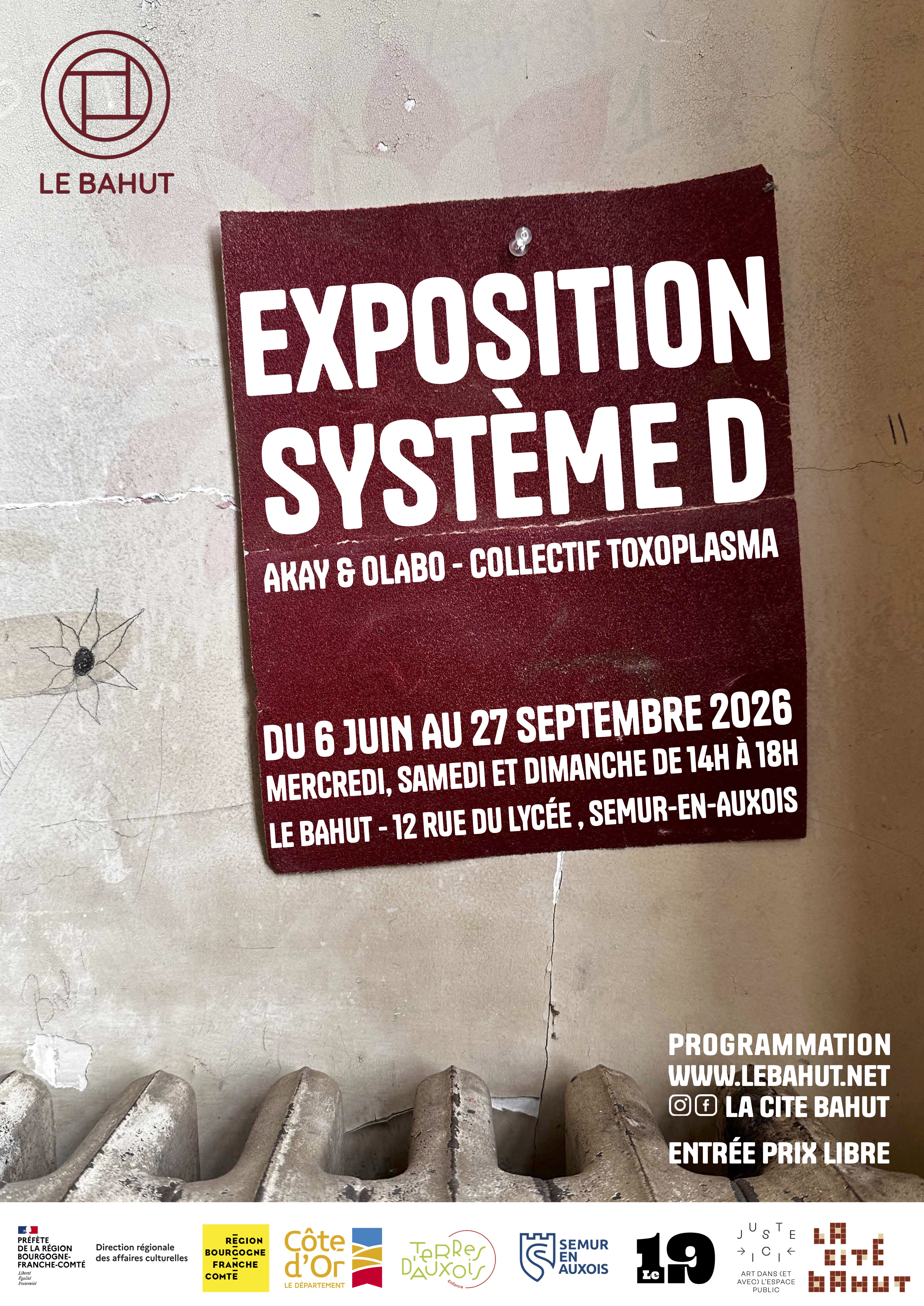 Système D - une exposition de Akay & Olabo (Toxoplasma)