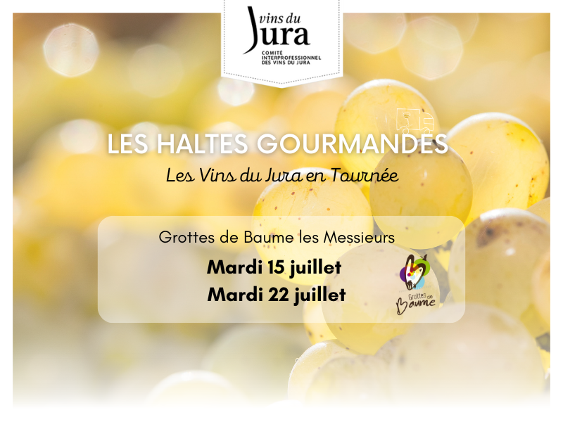 Tournée 2025 post Réseaux sociauxpour décibels data  - 3