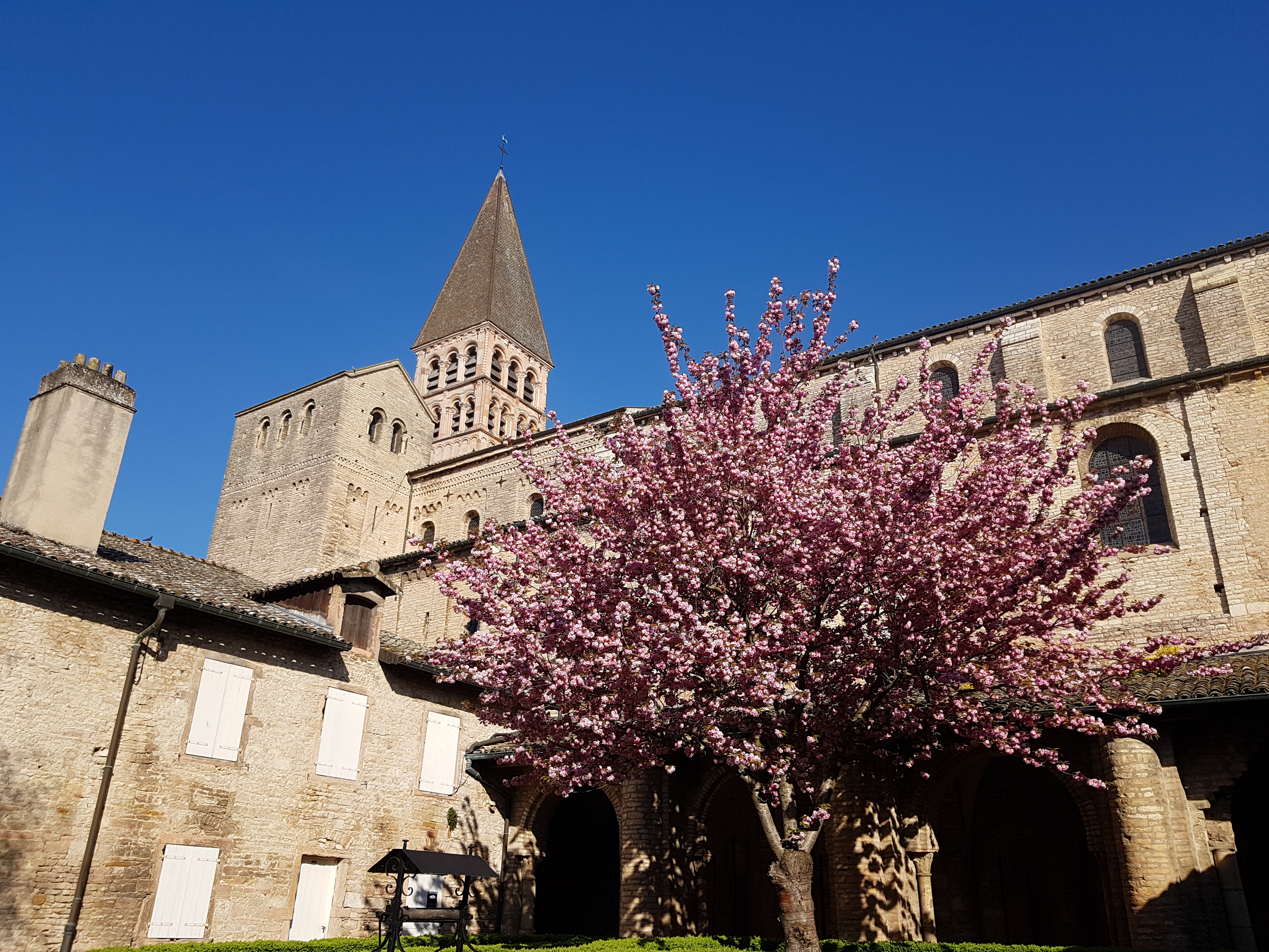 Tournus_Abbaye Saint-Philibert_Cloître 