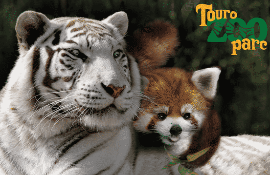ANNULATION POUR CAUSE DE CANICULE
Animation Touroparc Zoo : Protégeons la biodiversité en vous amusant !