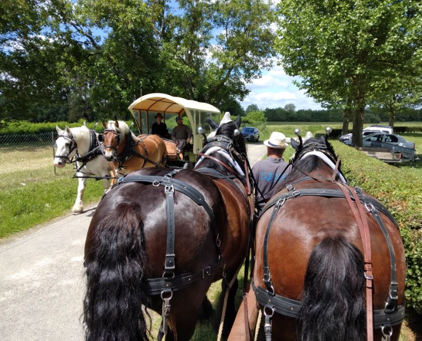 Promenades en calèche