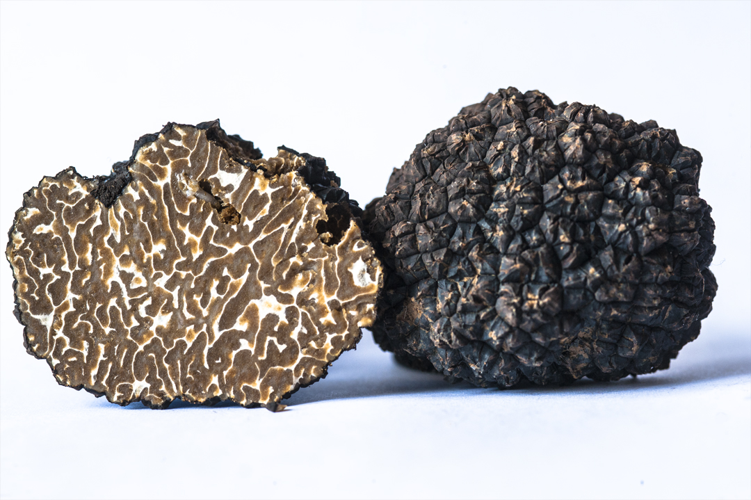 Truffe coupe fond blanc
