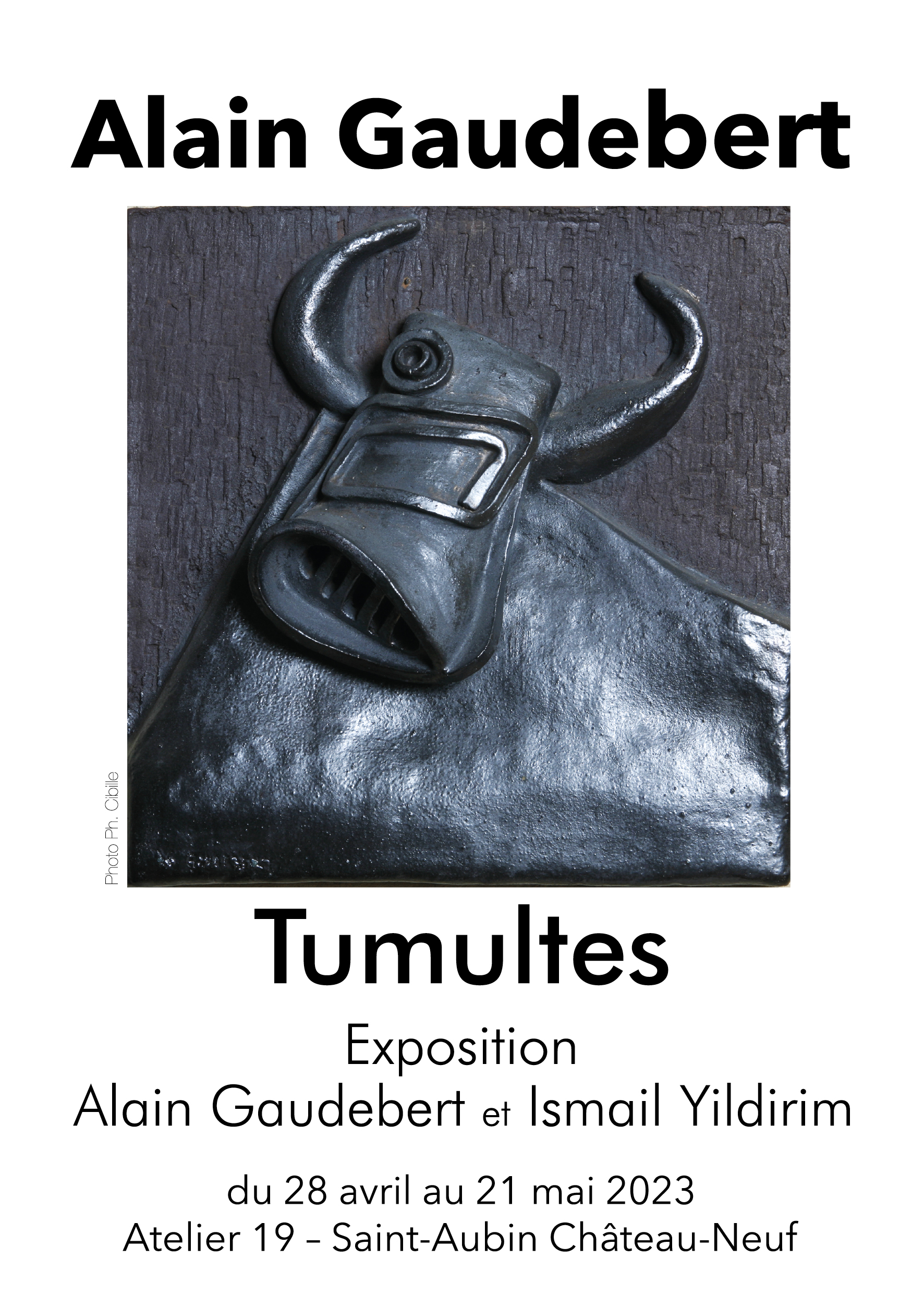 Tumultes - Alain Gaudebert 