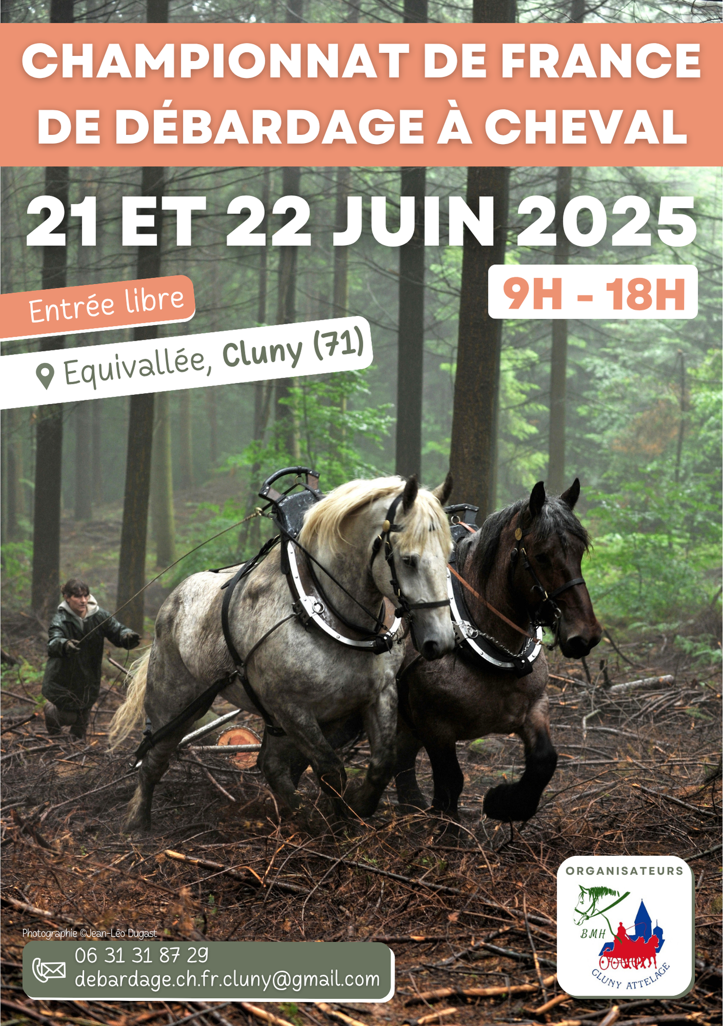 Championnat de France de débardage à cheval