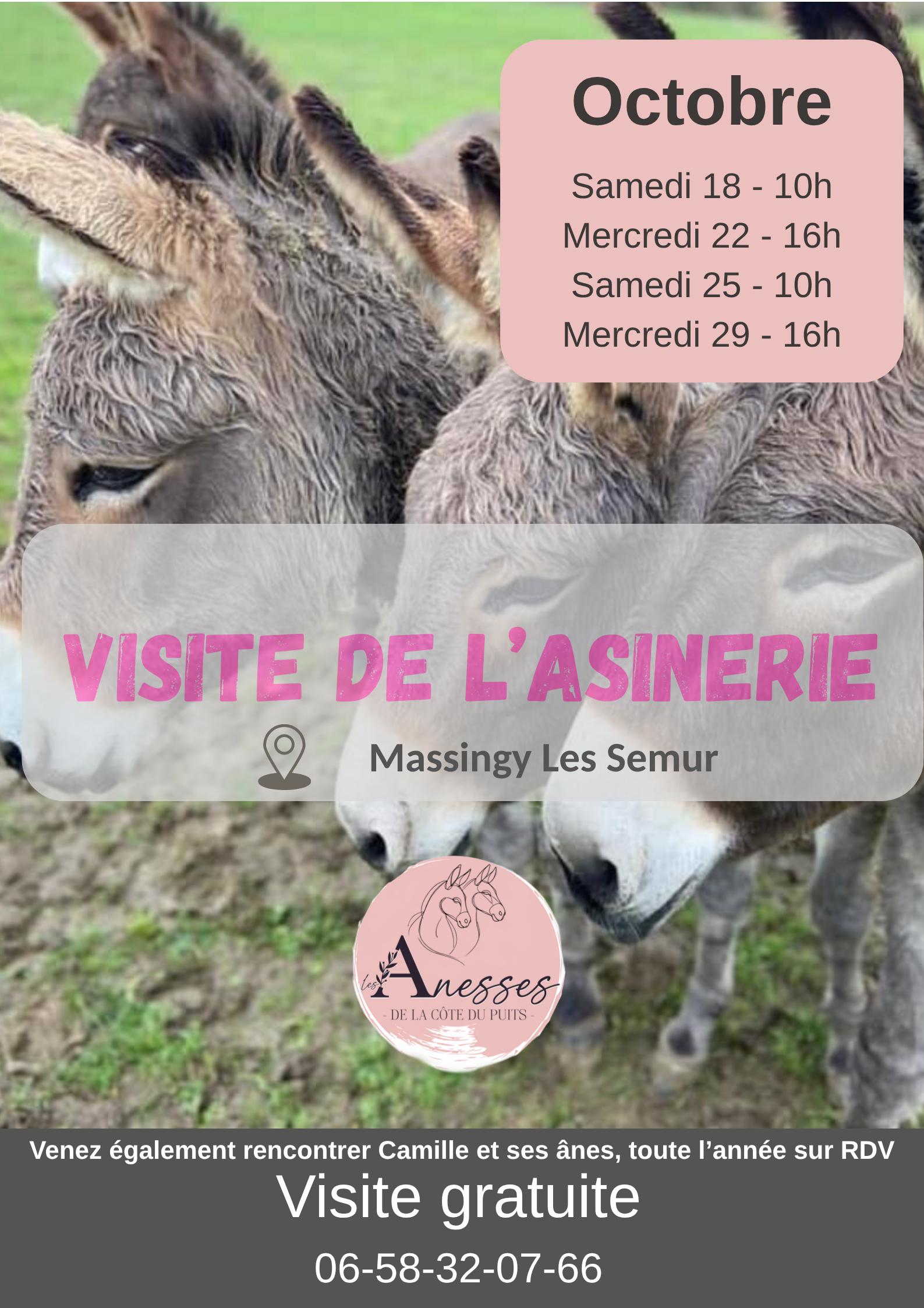 Visite de l'Asinerie