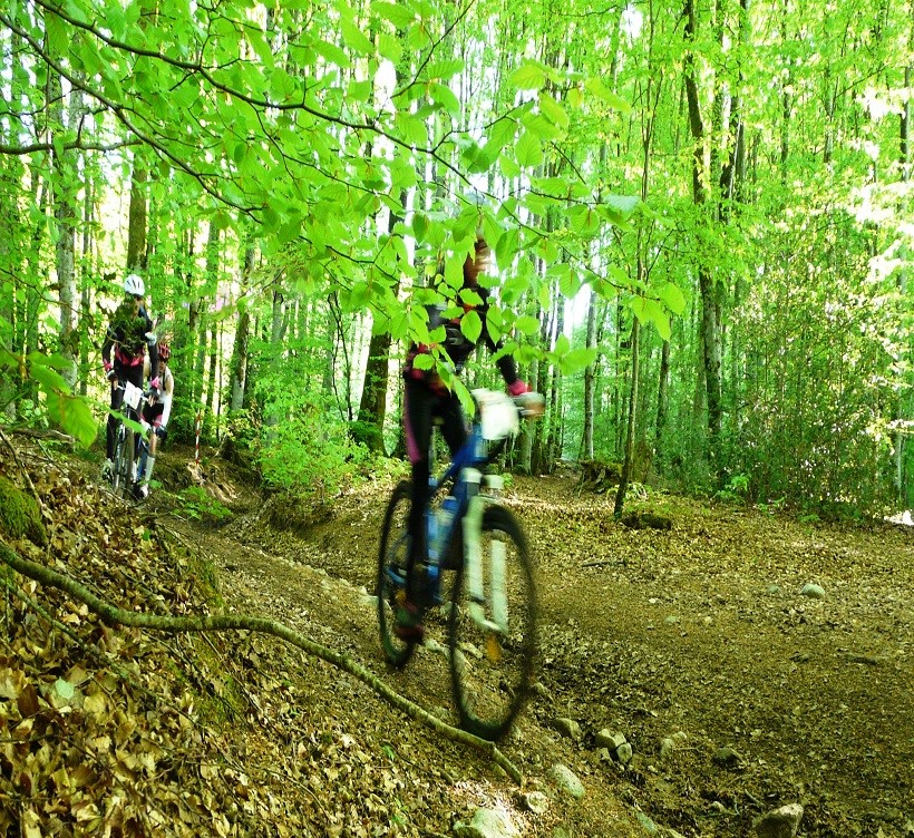 VTT VTTAE Activital Settons