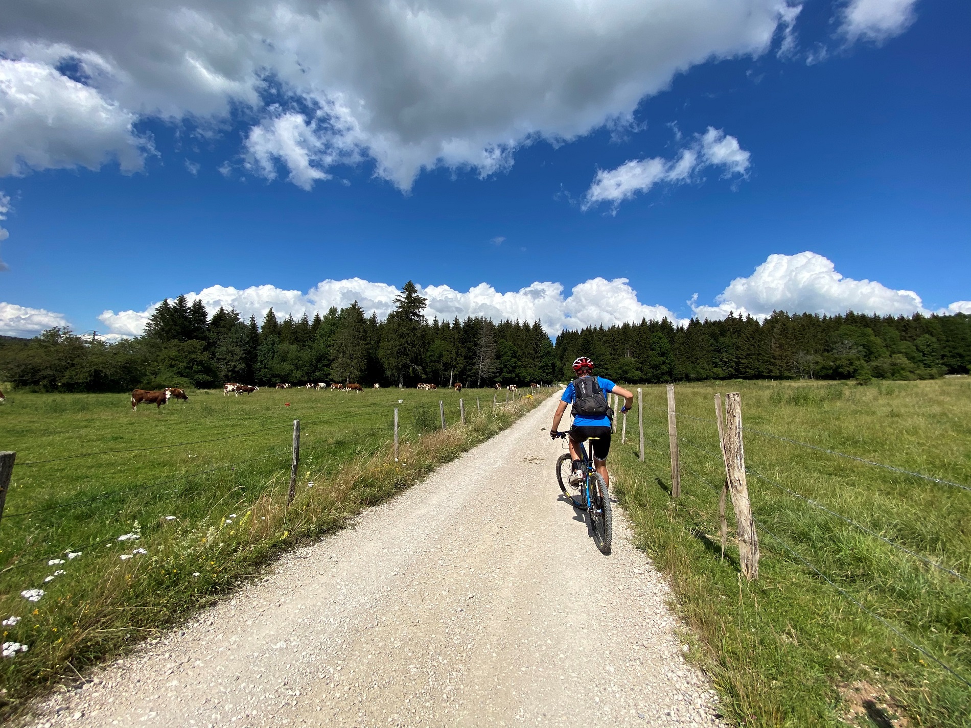 Rando VTT