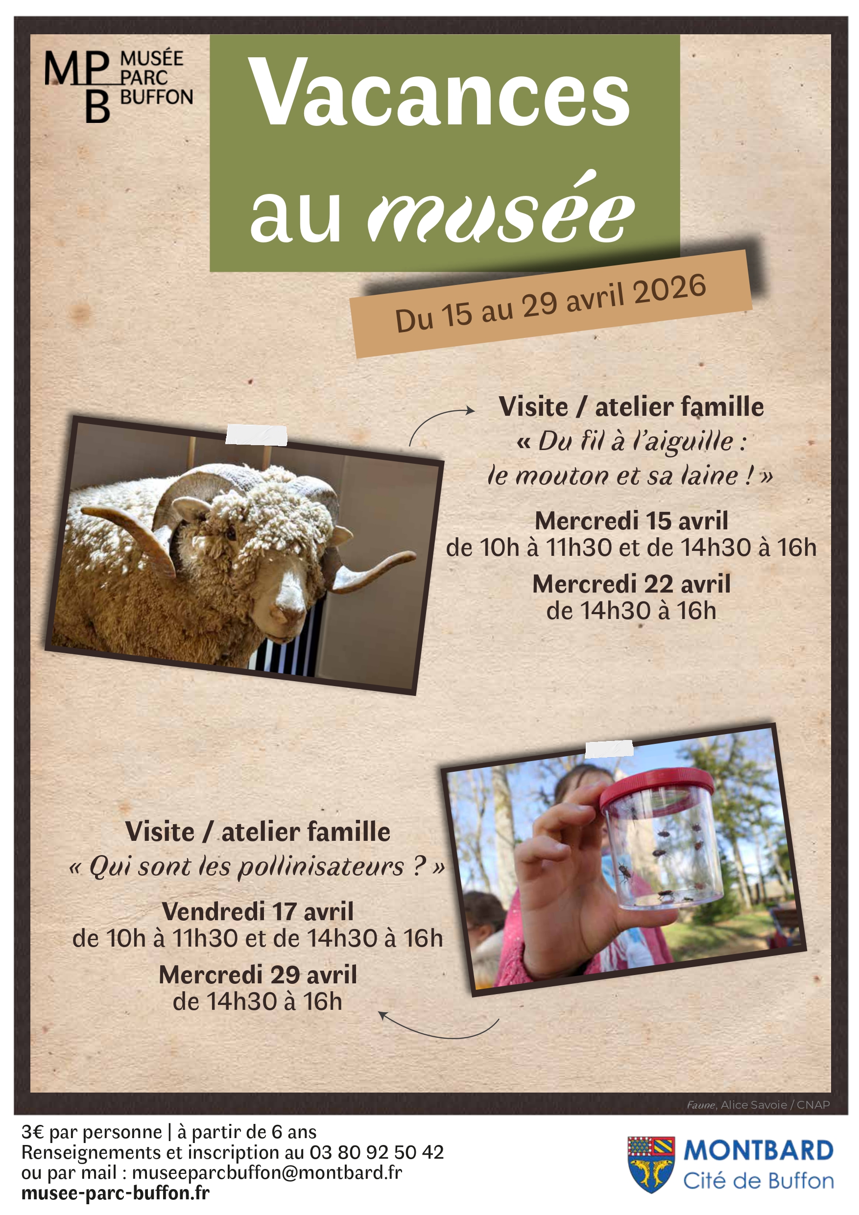 Visite atelier - Qui sont les pollinisateurs ?