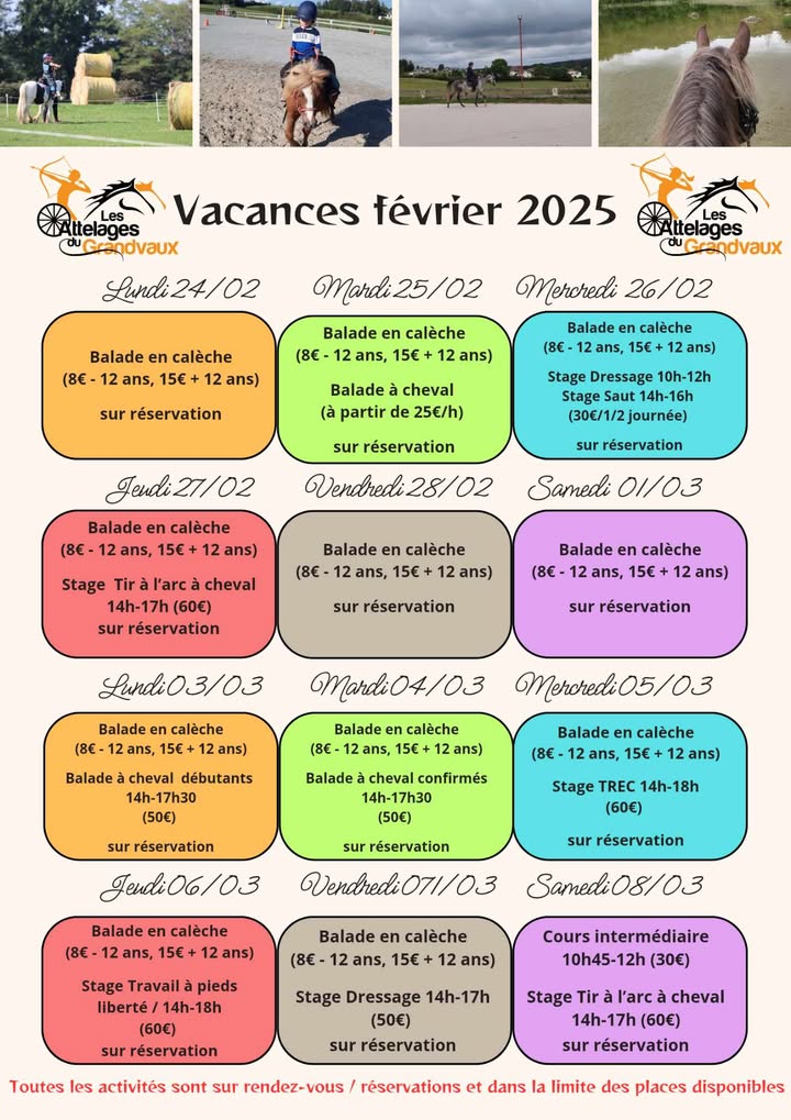 Vacances d'hiver Attelages du Grandvaux