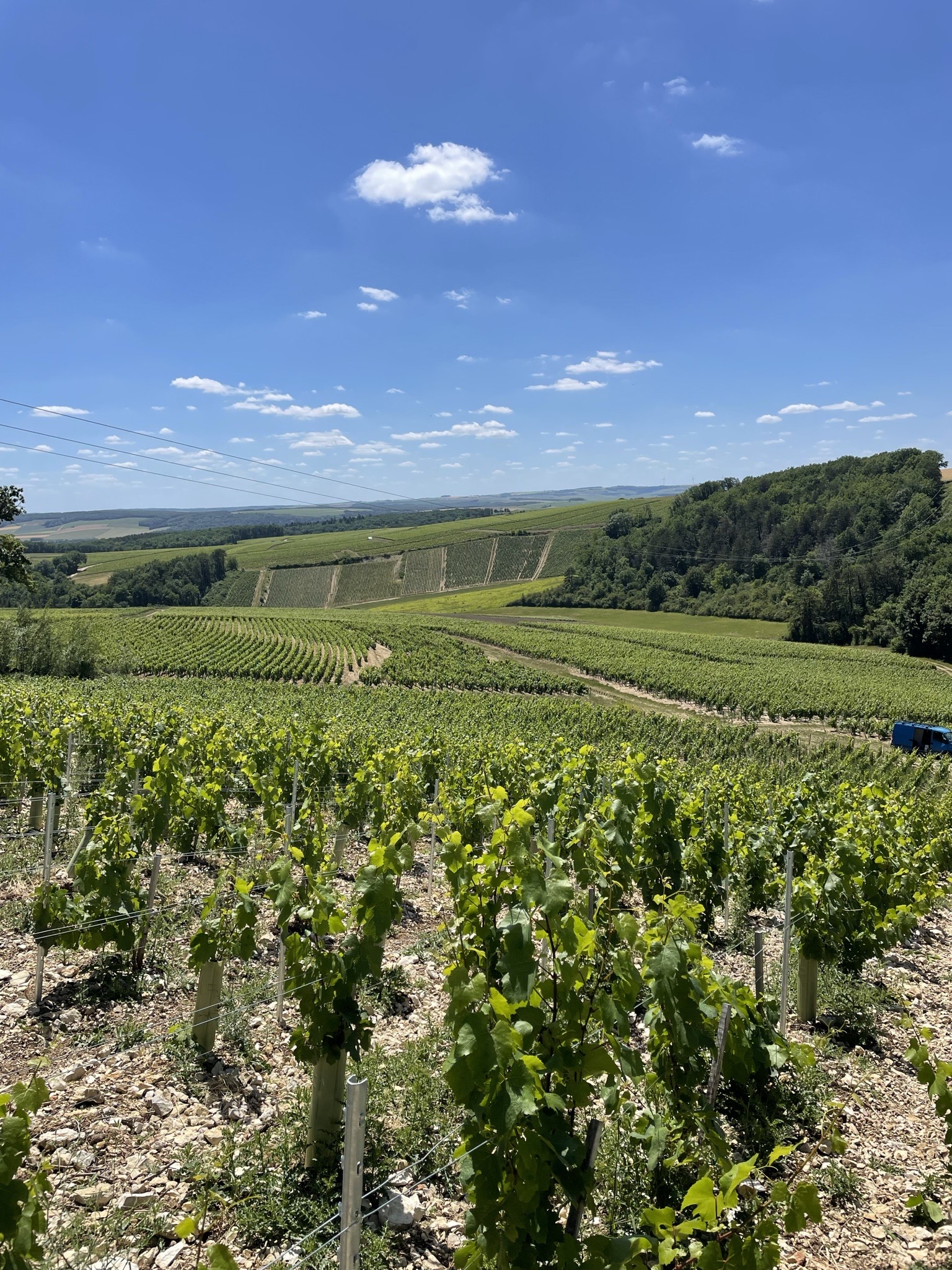 Vaux Méchin