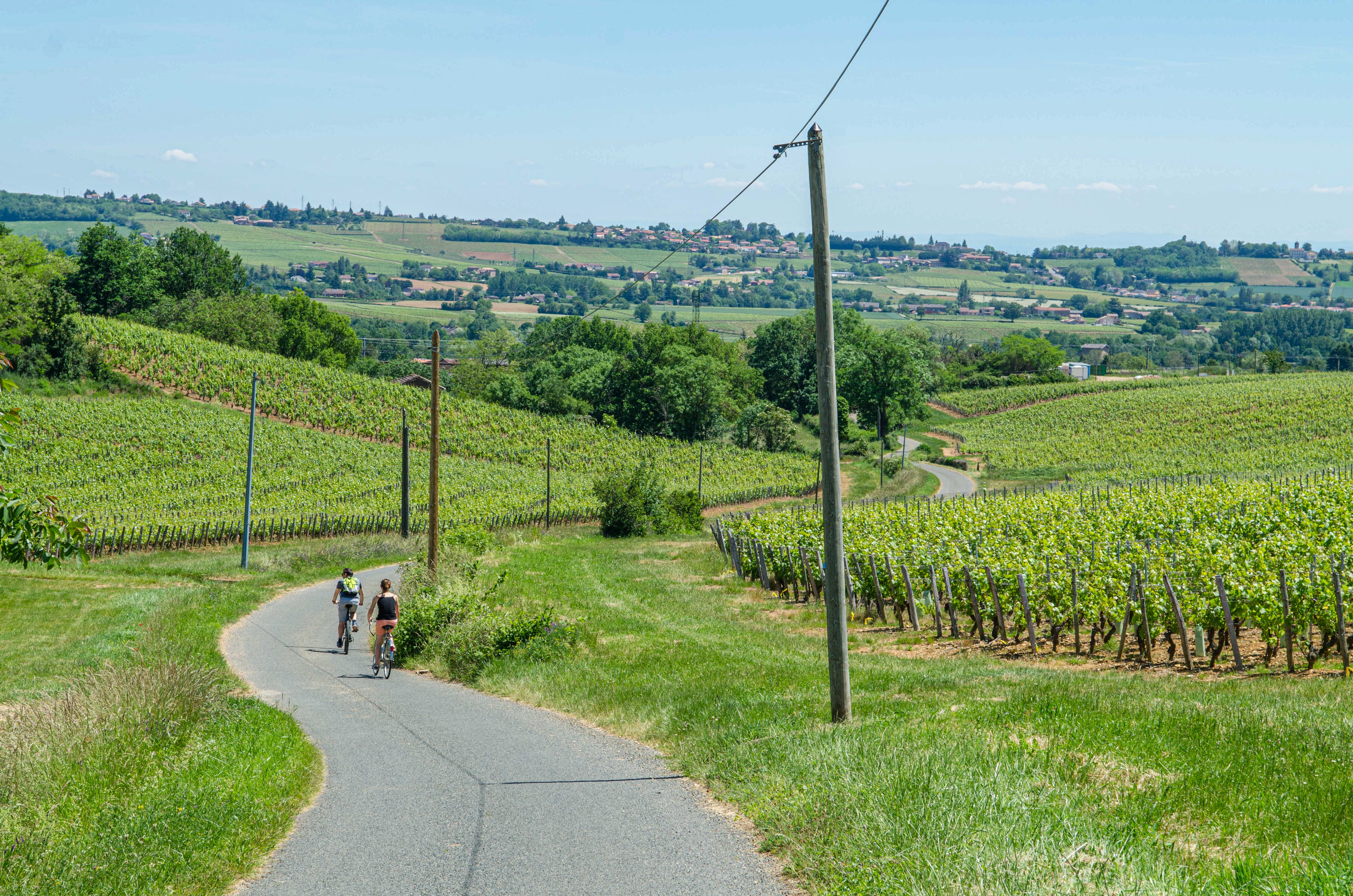 La Vélo Gourmande en Sud-Bourgogne