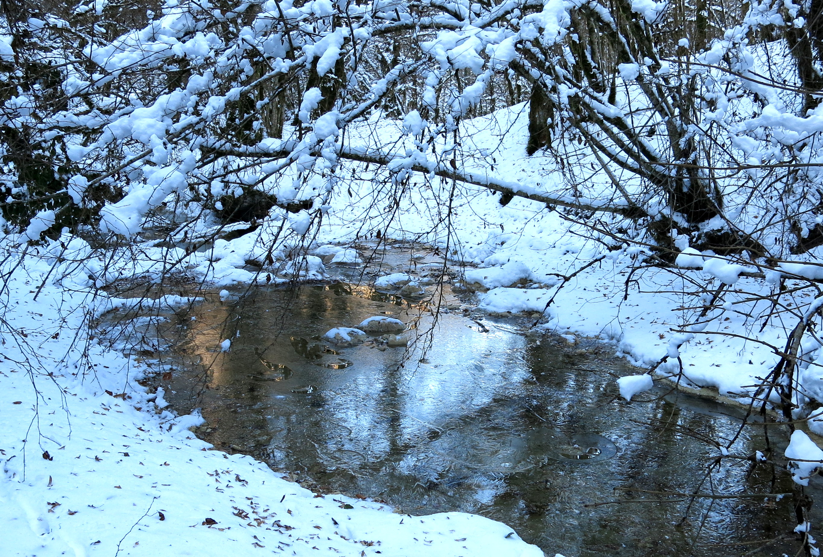 La source Bleue