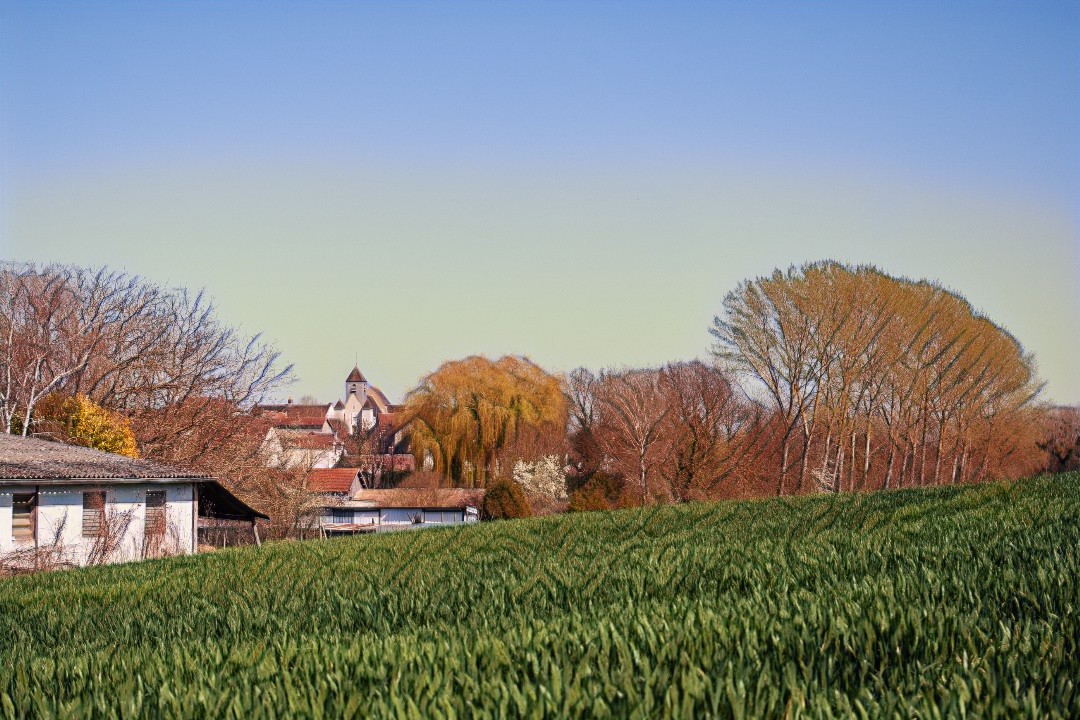 Vieux-Migennes