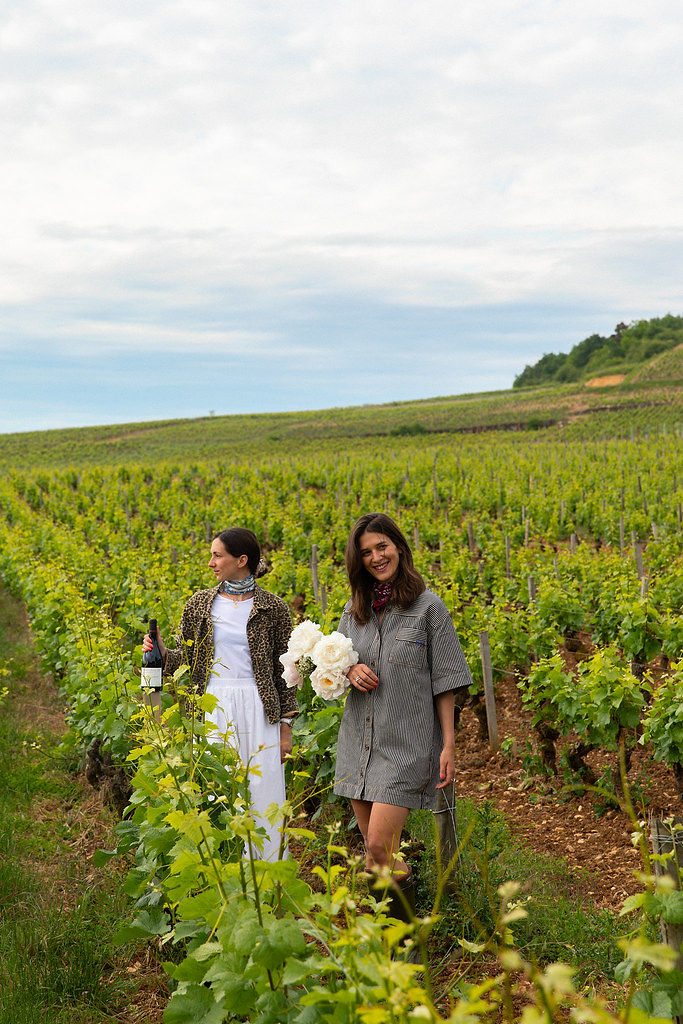 Vignoble en scène à Chambolle-Musigny