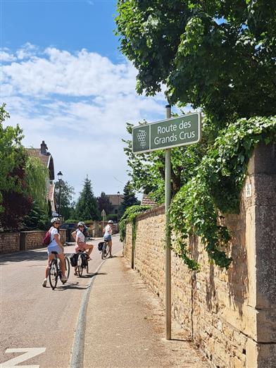 Vignes et vélo Route des Grands crus de Bourgogne  2025 Velovitamine Guide oenologique (1)