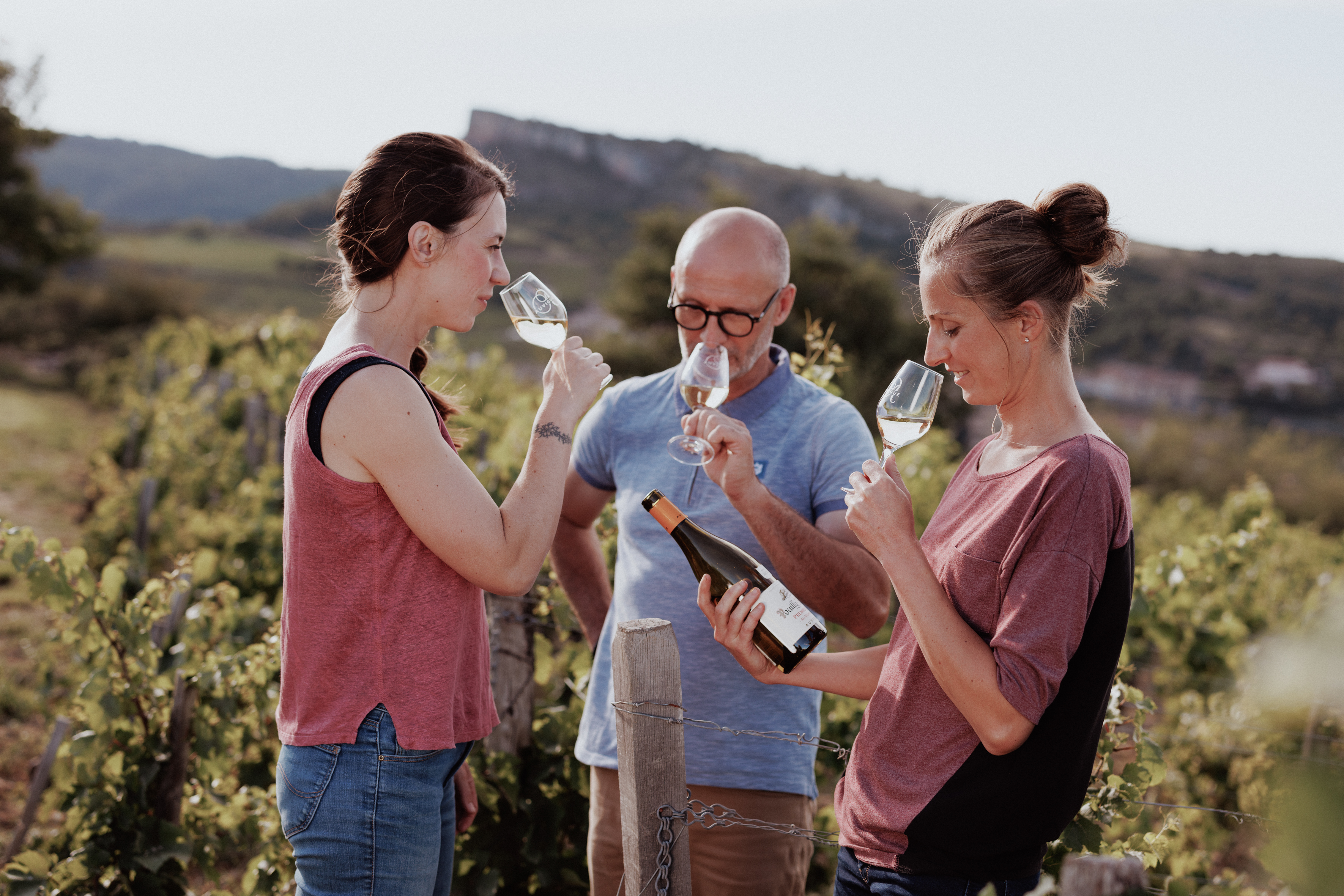 Vignoble d'exception