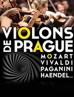 Violons de prague 08-12