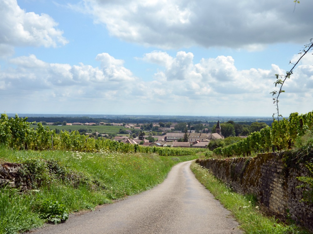Viré site 