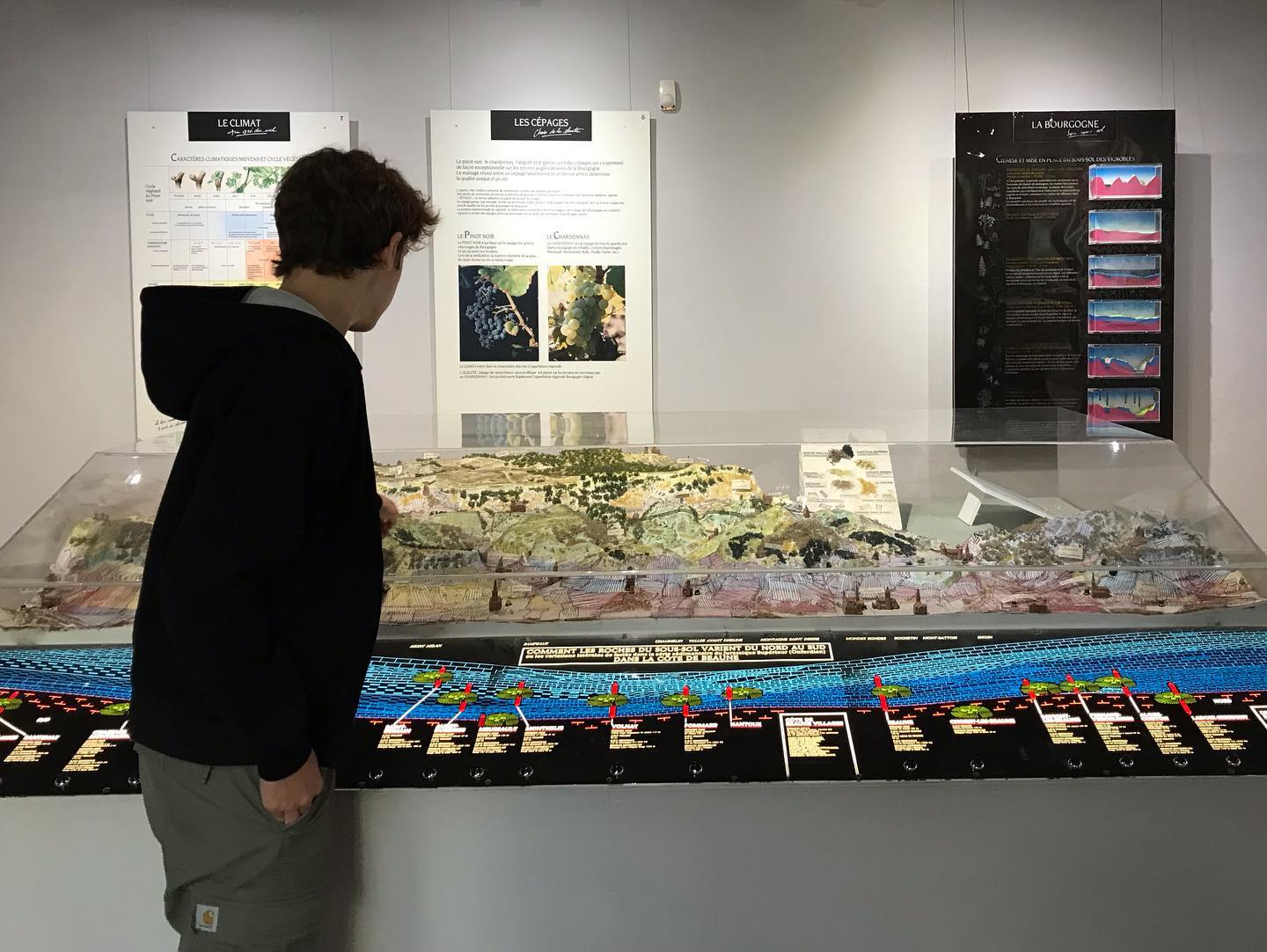 Visite guidée : Histoire des noms des Climats