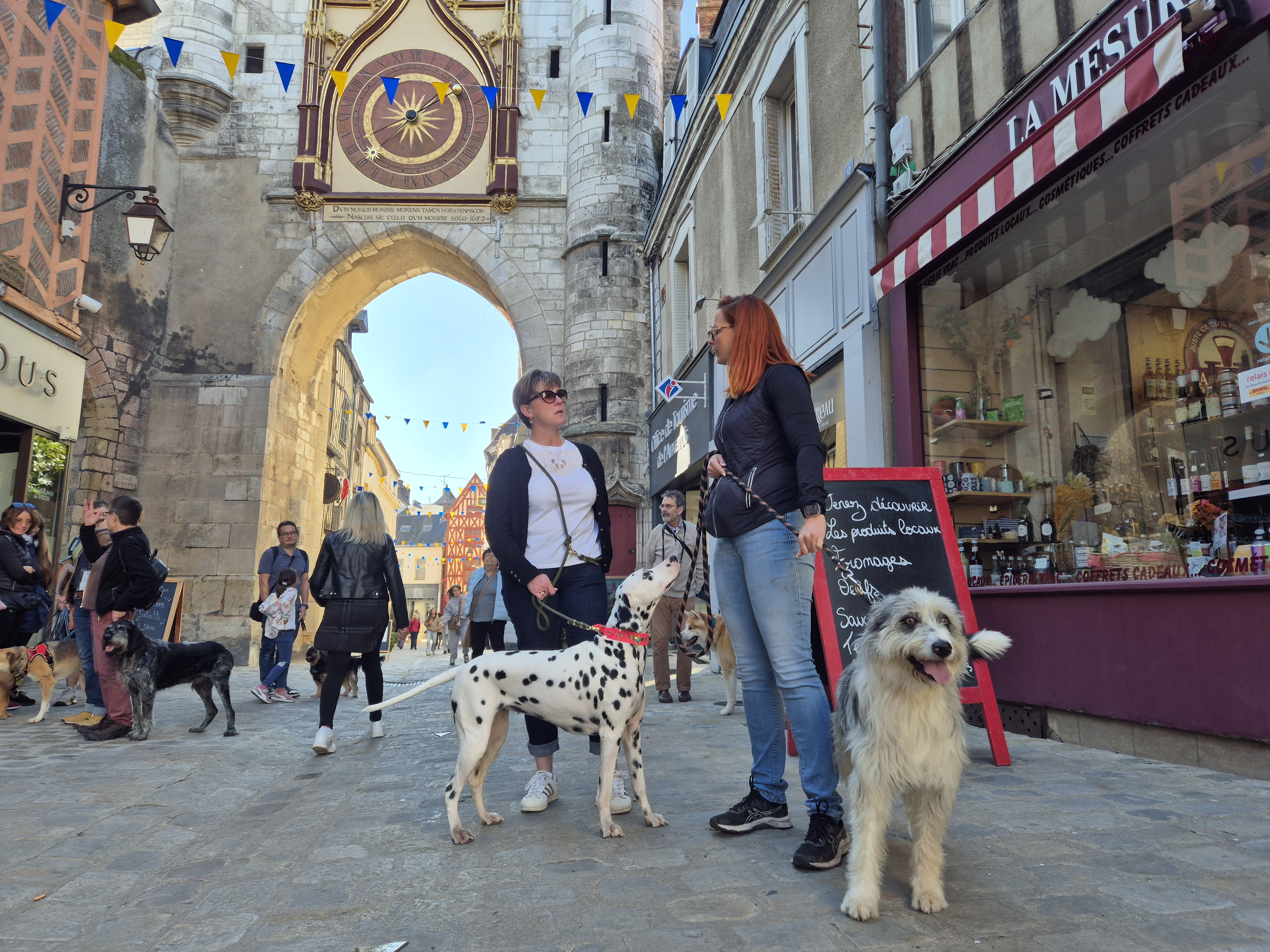 Toutou'Risme à Auxerre !