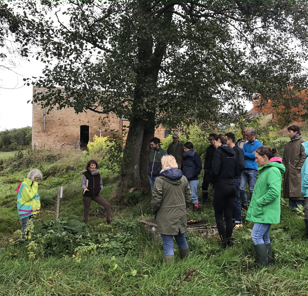 La permaculture en pratique - Crédits : La Ferme des Ruats