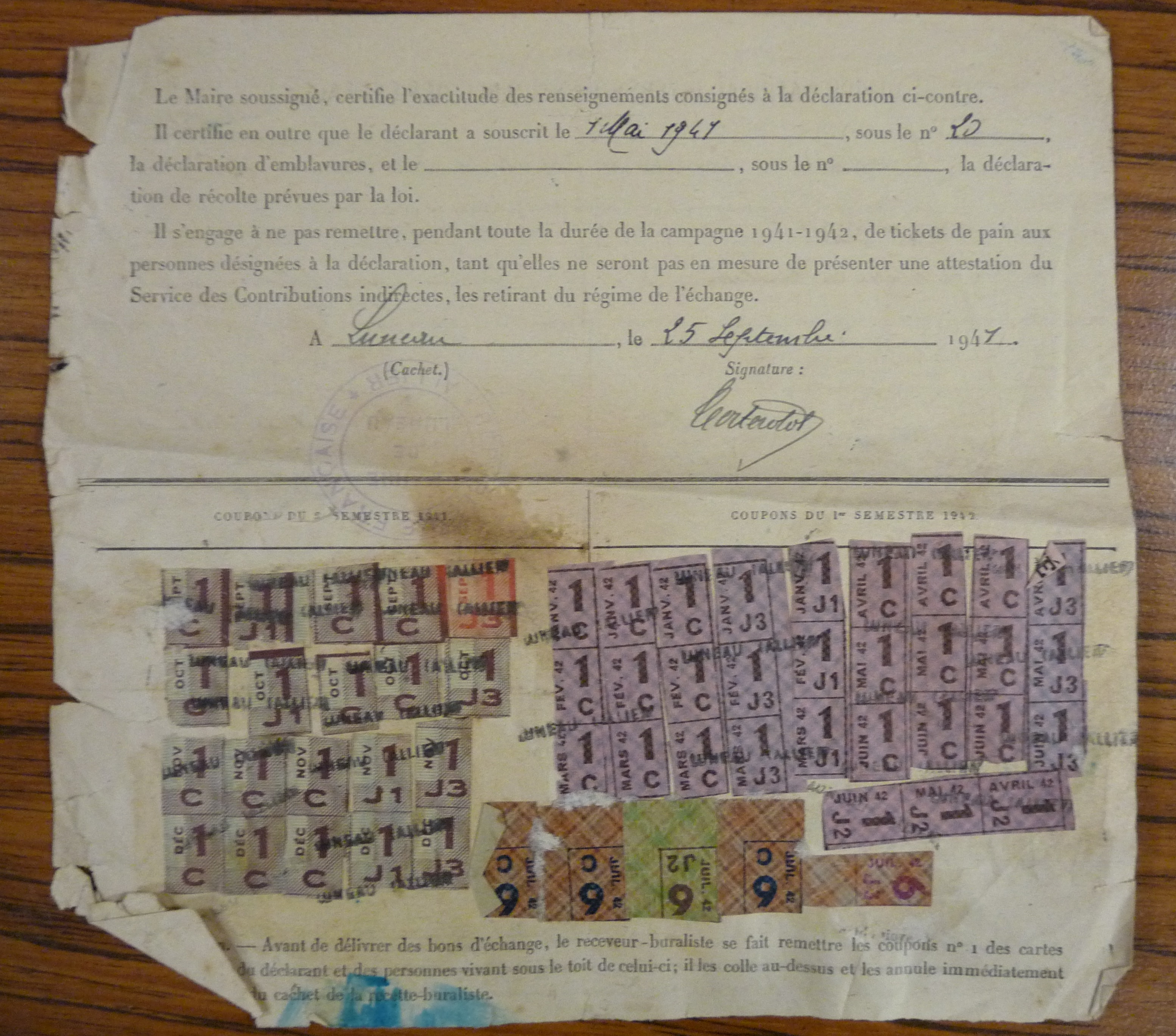 Visite guidée exposition temporaire