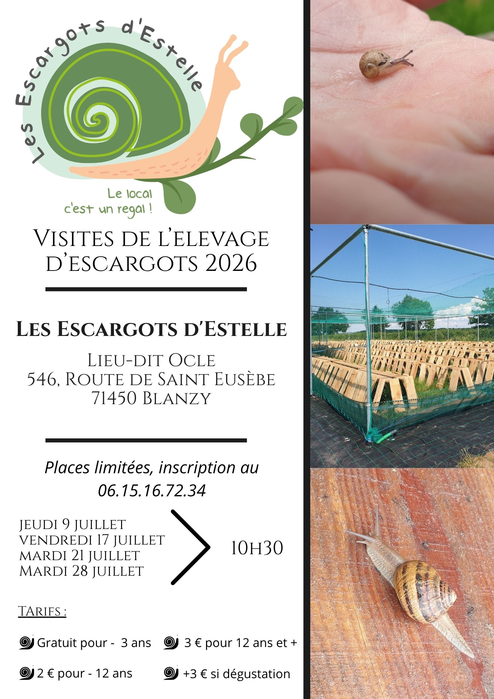 Visite de l'élevage d'escargots