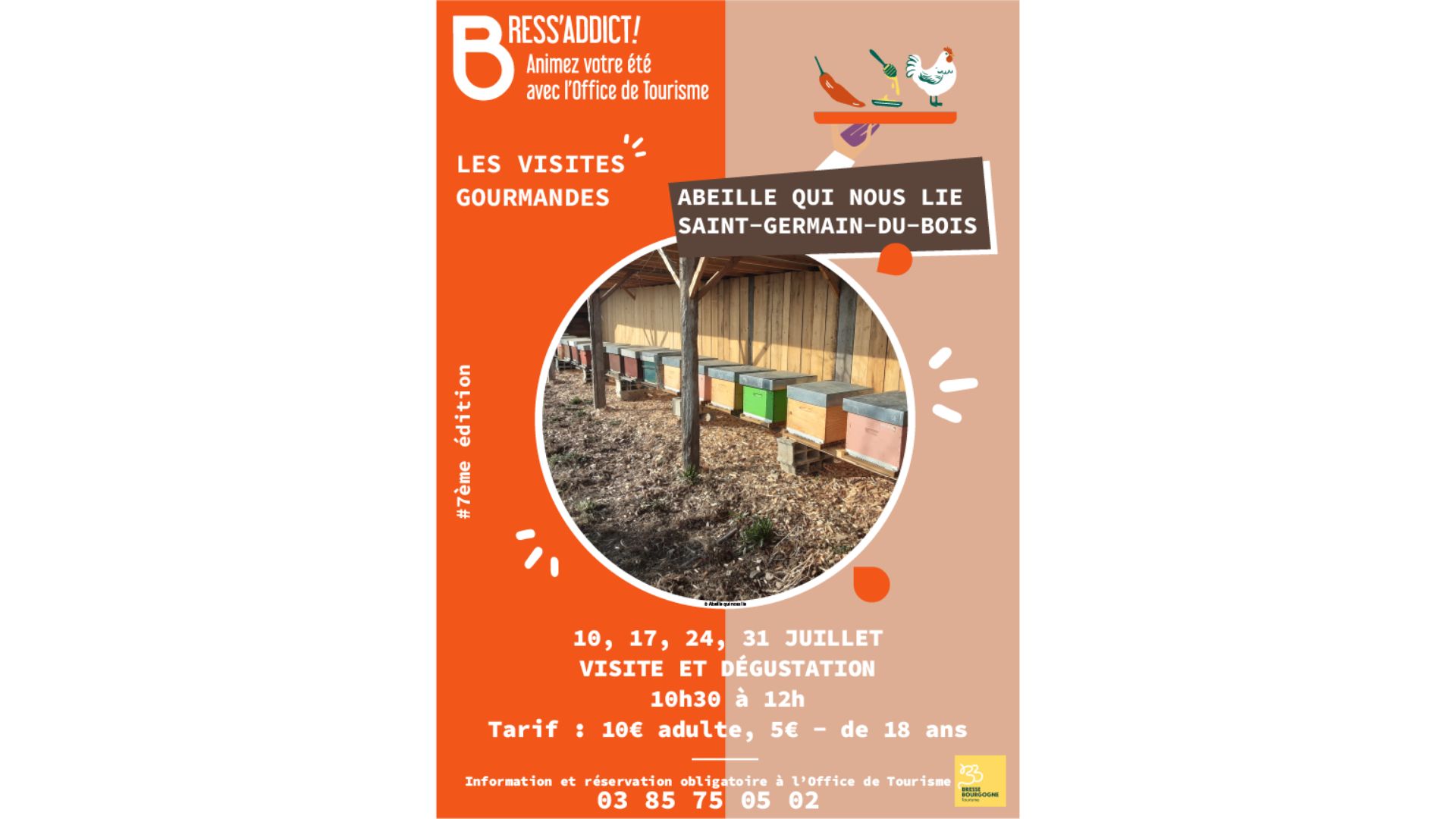 Visites Gourmandes : Abeille qui nous lie