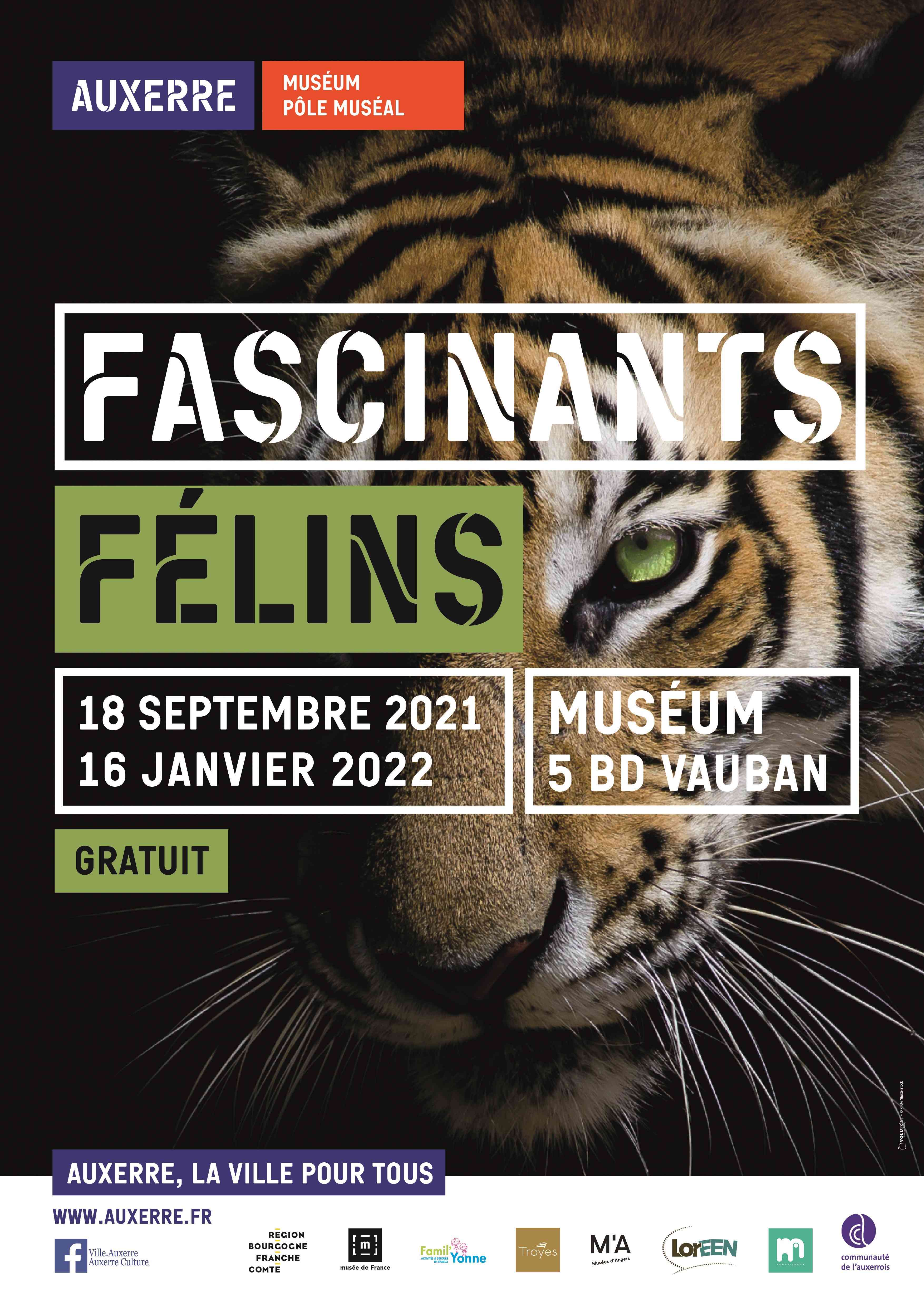 FASCINANTS FÉLINS - NOUVELLE EXPOSITION AU MUSÉUM D'AUXERRE