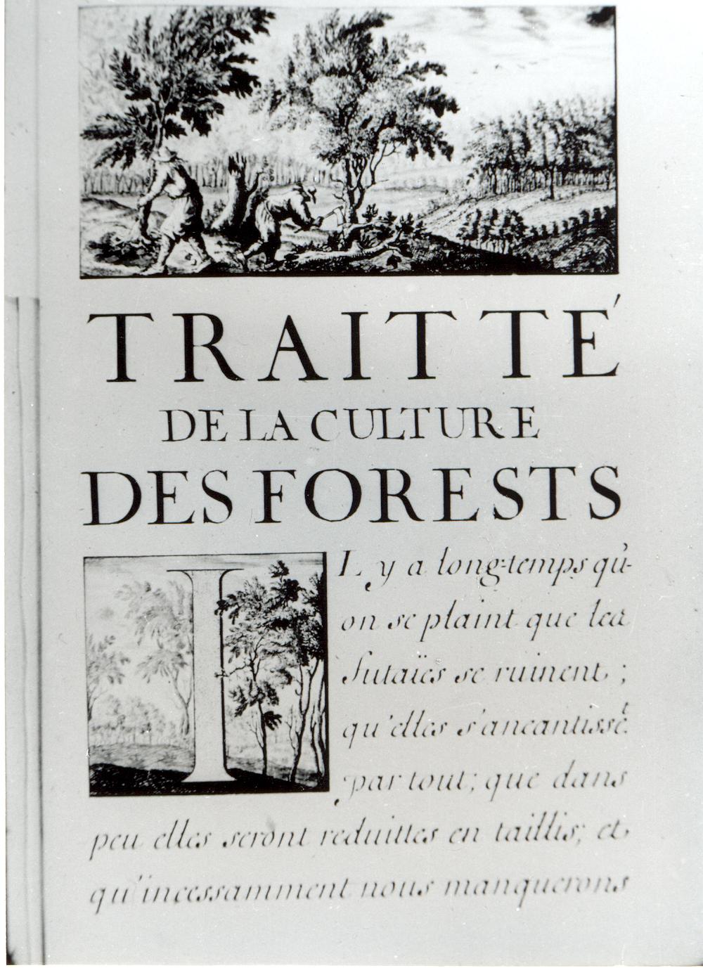 Visuel-Traite-sur-la-foret