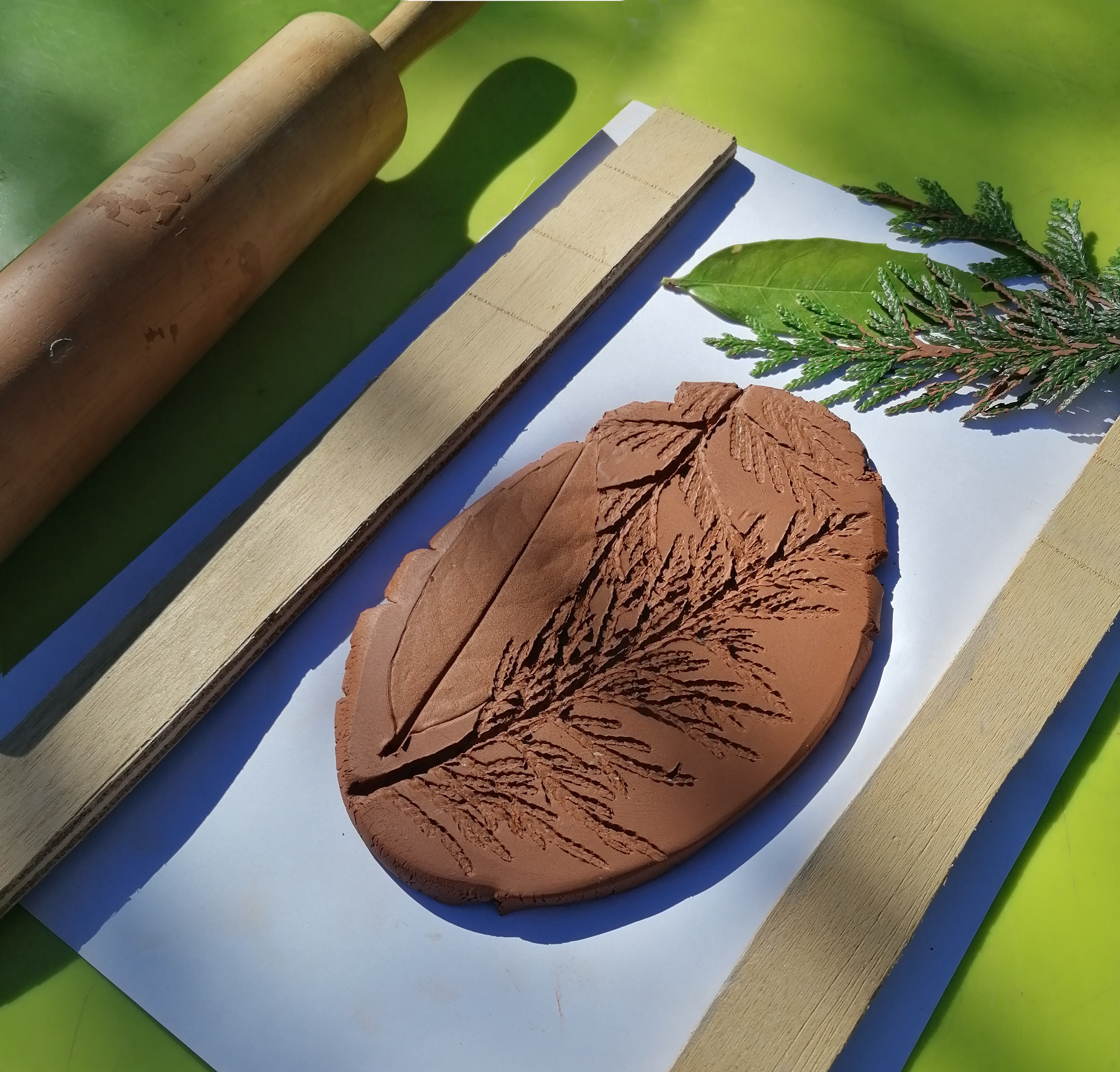 Visuel atelier famille Mémoire de feuilles