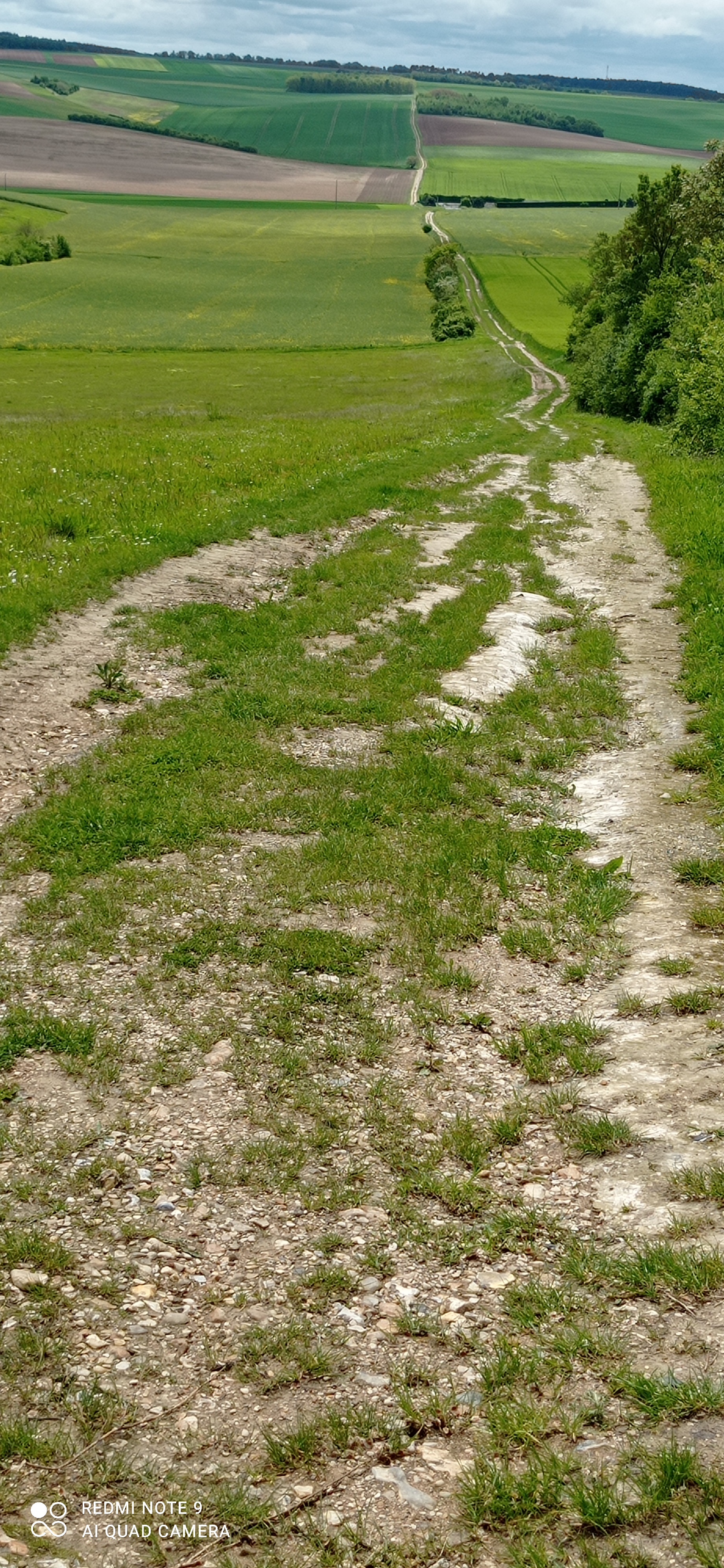Voie Romaine près du château