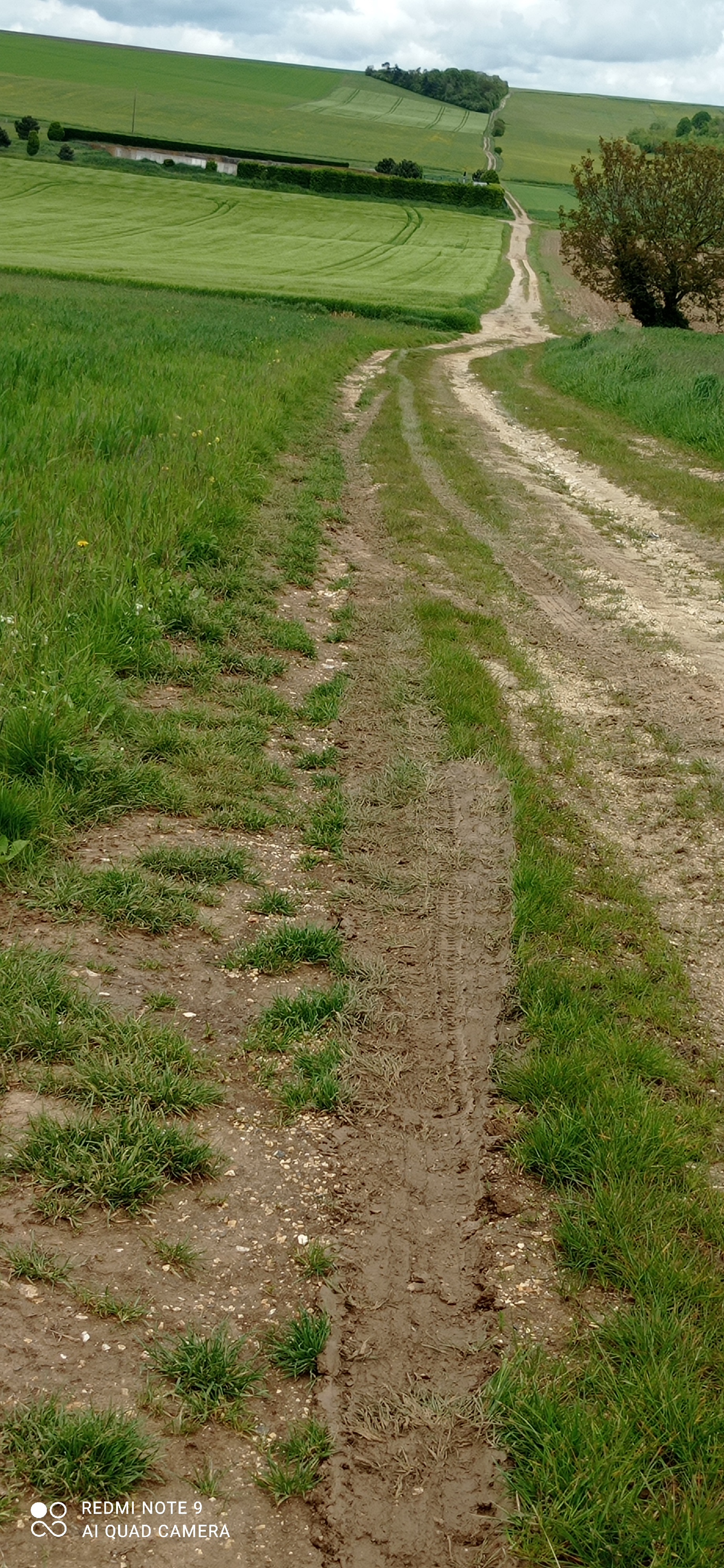 Voie Romaine (autre vue)