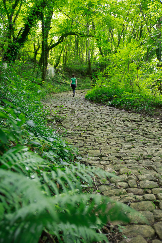 Voie romaine Montagna le Reconduit - Stéphane Godin