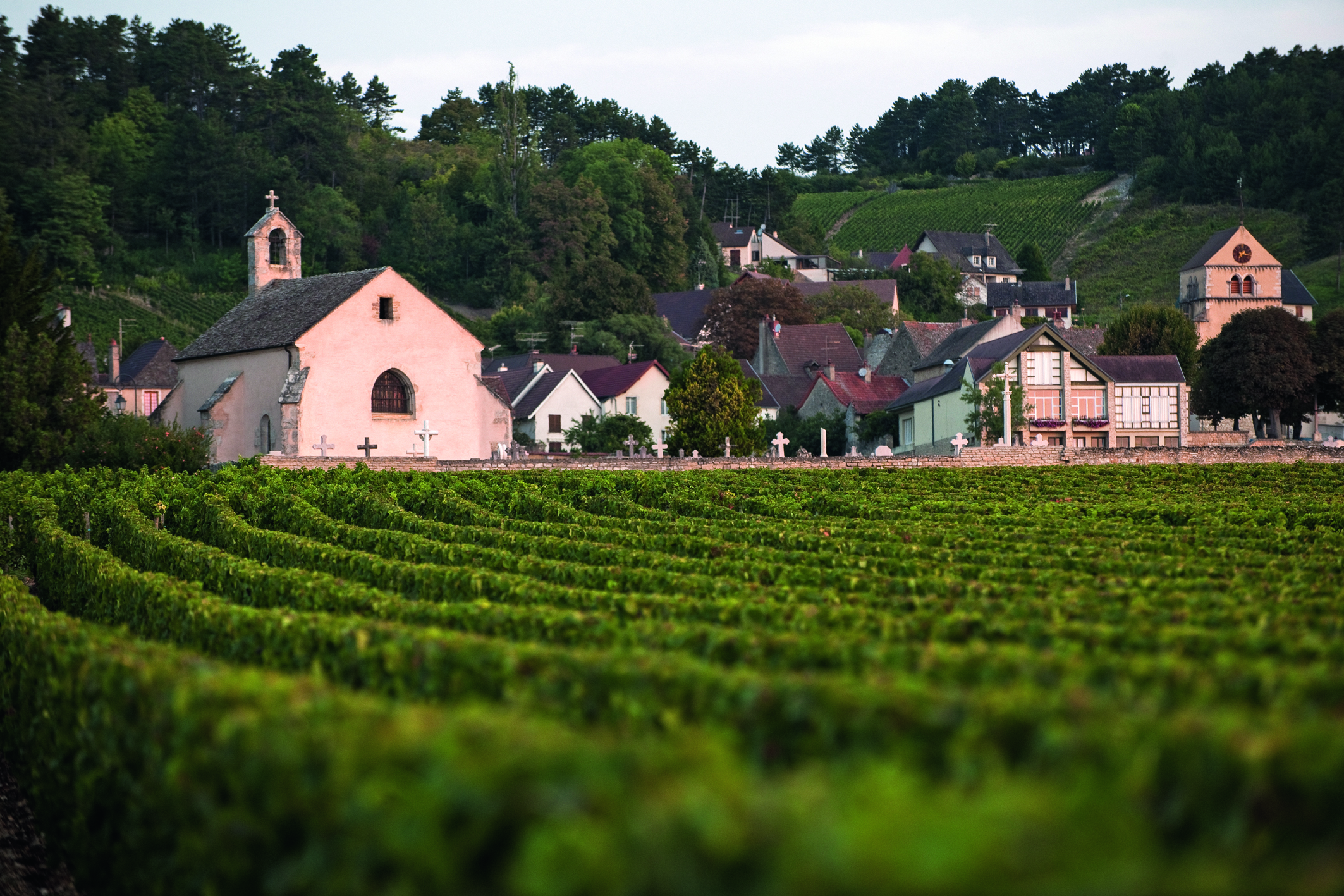 Volnay le matin-39_JOLY