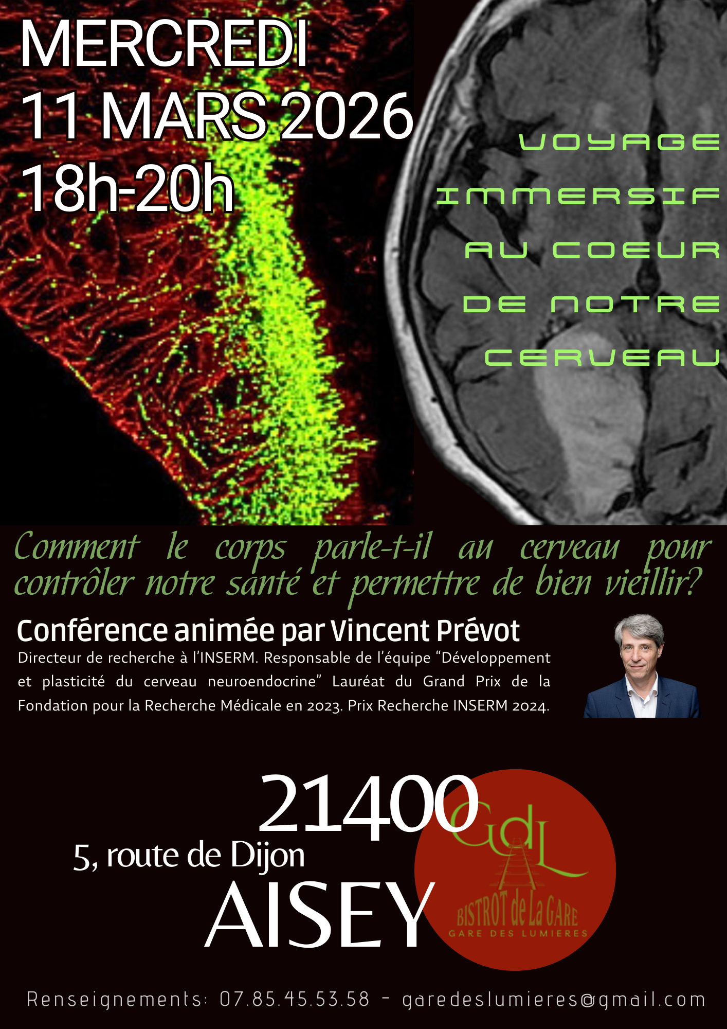 Voyage immersif dans notre cerveau