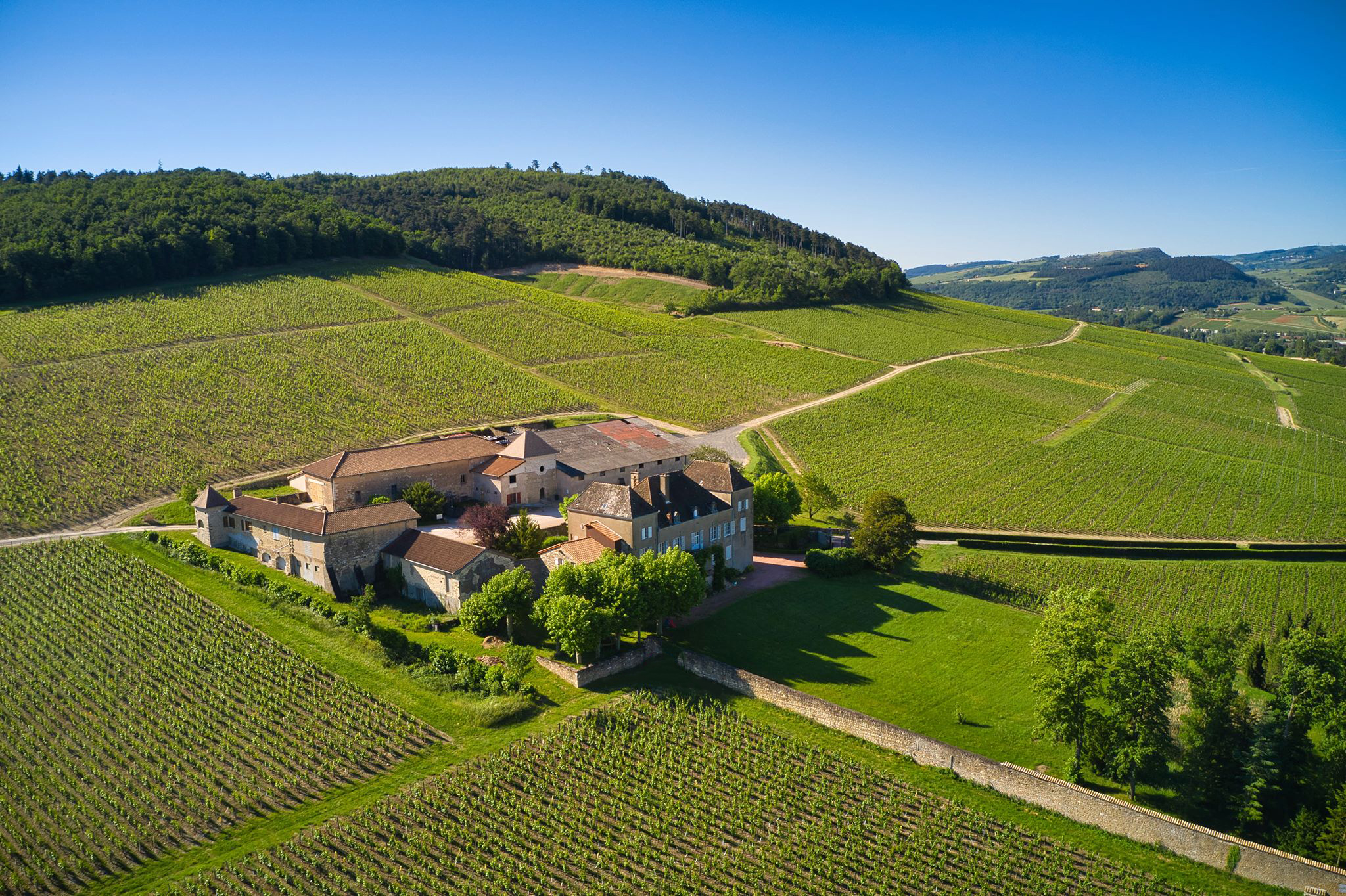 Musée de la Vigne et du Vin