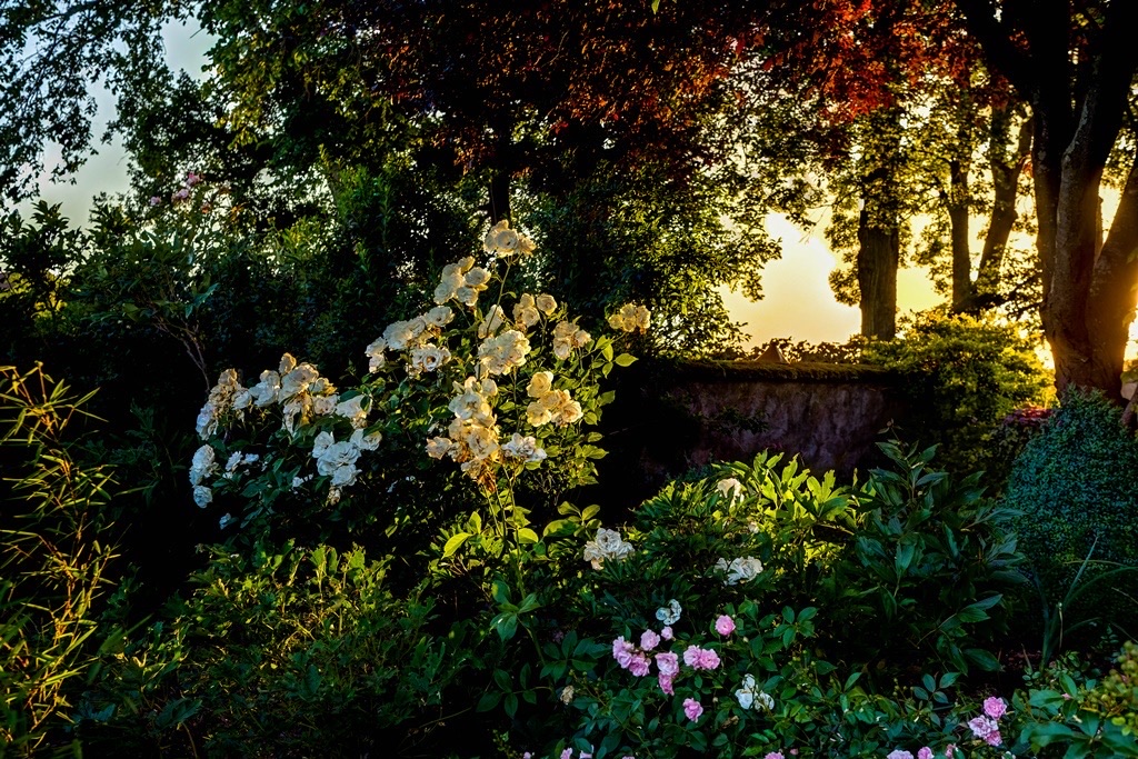 Les jardins des Soussilanges — Parques y Jardines à Saône-et-Loire