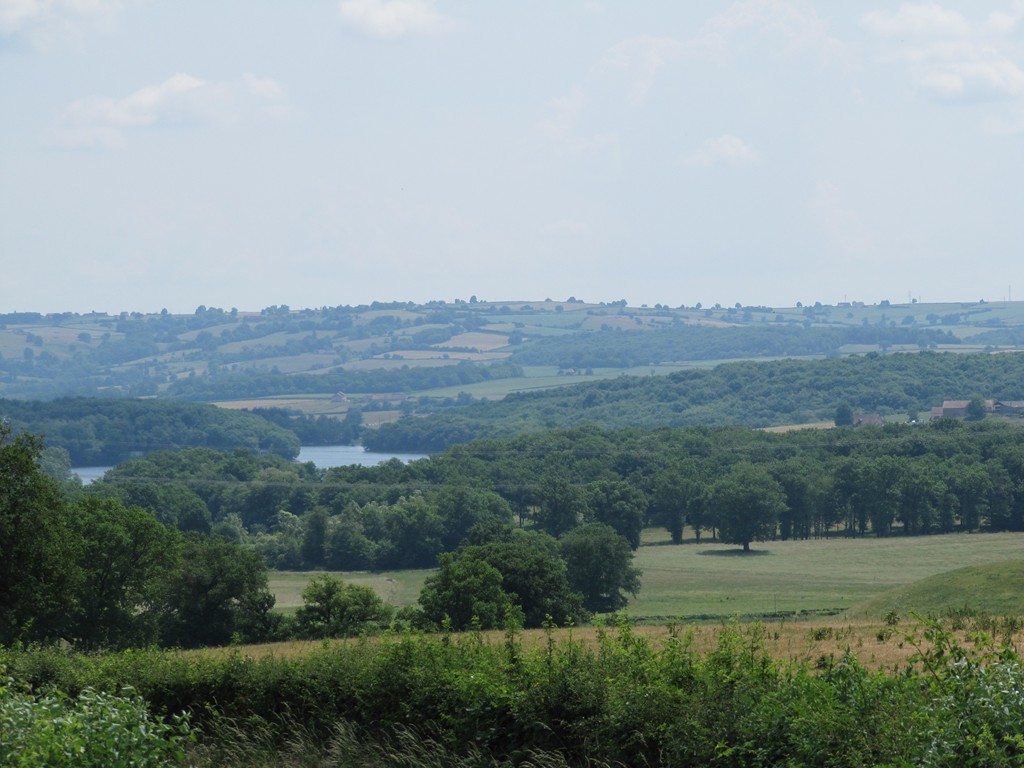 Paysage lac et forêt