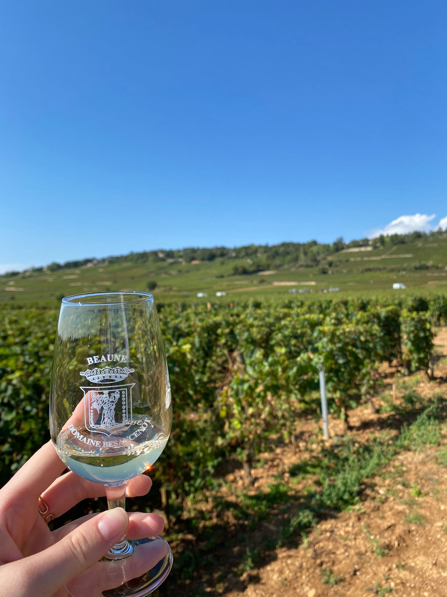 Dégustation dans les vignes 