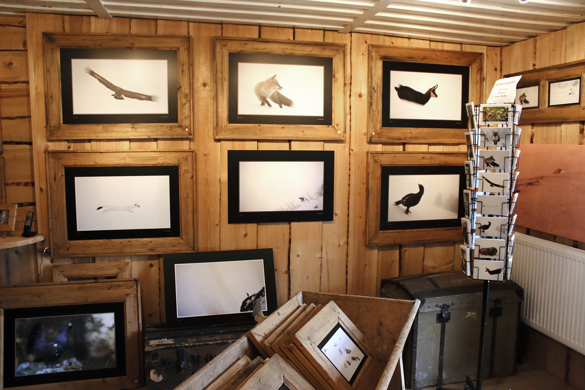 Galerie photo