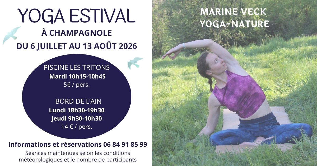 Cours de Vinyasa yoga en nature