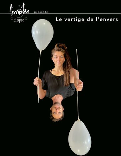 a2-affiche-vde