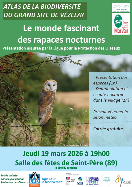 Média additionnel 1